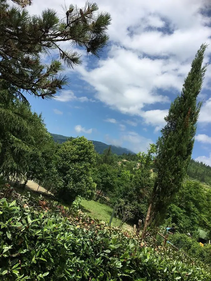 בית חווה Molino del Piano Tenuta Dei Cavalieri איטליה
